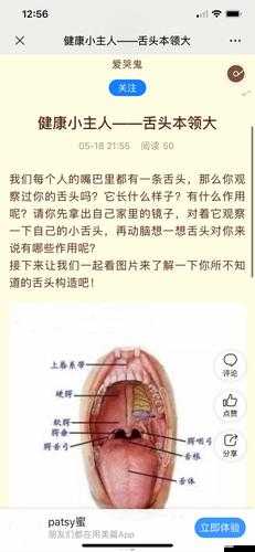 50 种口吃技巧视频详细讲解与示例